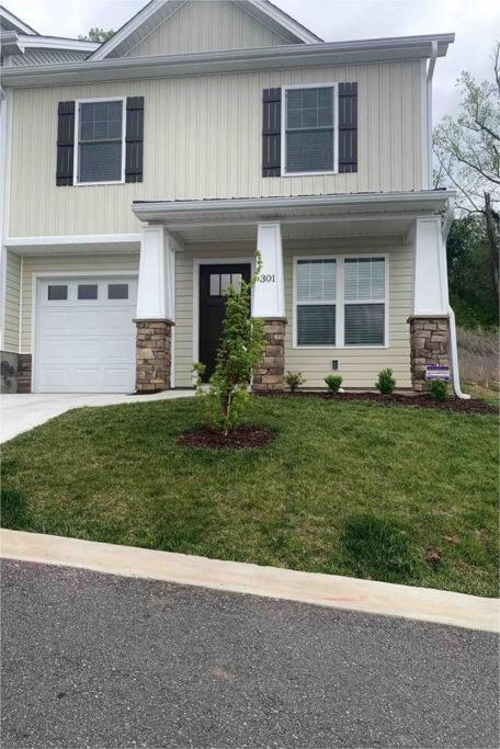 Newly Built Townhome Close To The Asheville Sites Candler Exterior foto